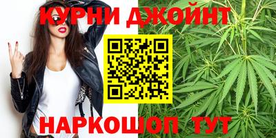 гашик Владимир