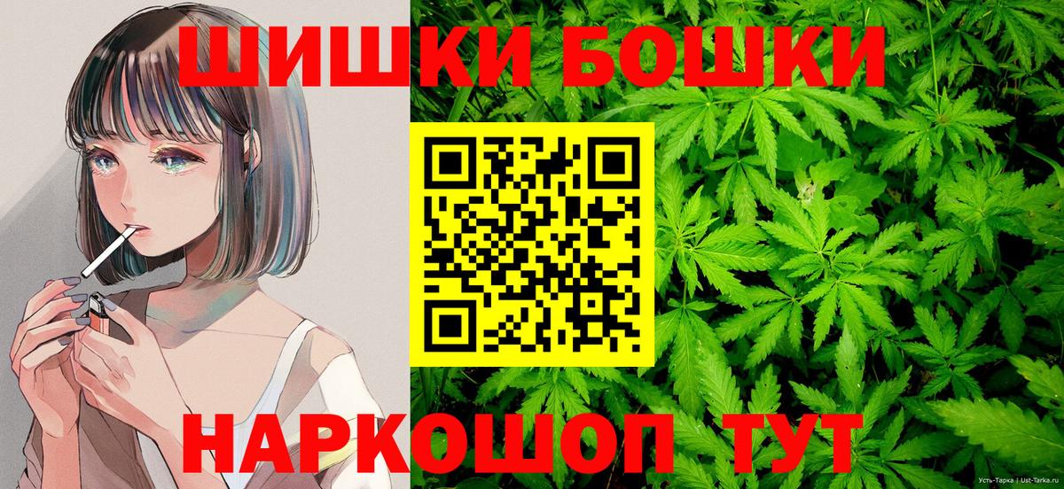 Канабис конопля Бийск